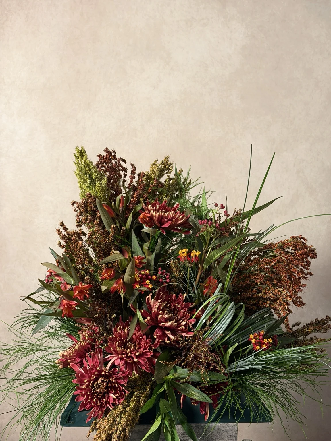 Dark red chrysanthemums, sorghum and pine in a low arrangement
