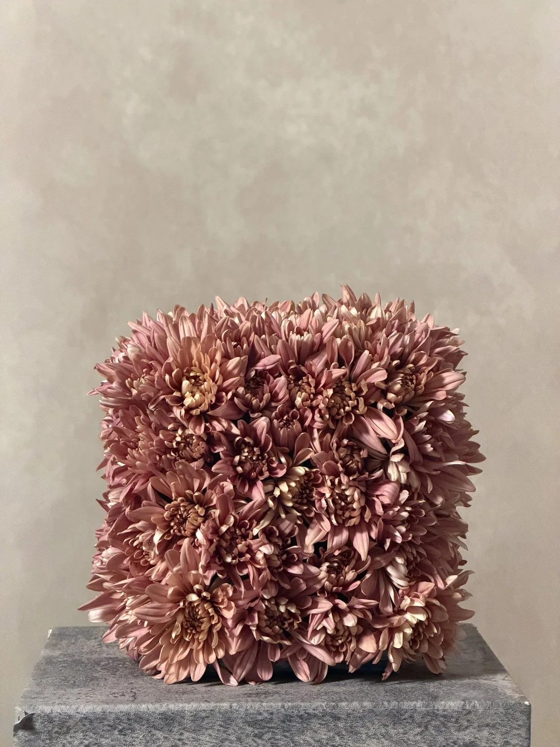 Dusty pink chrysanthemum cube on a stone block
