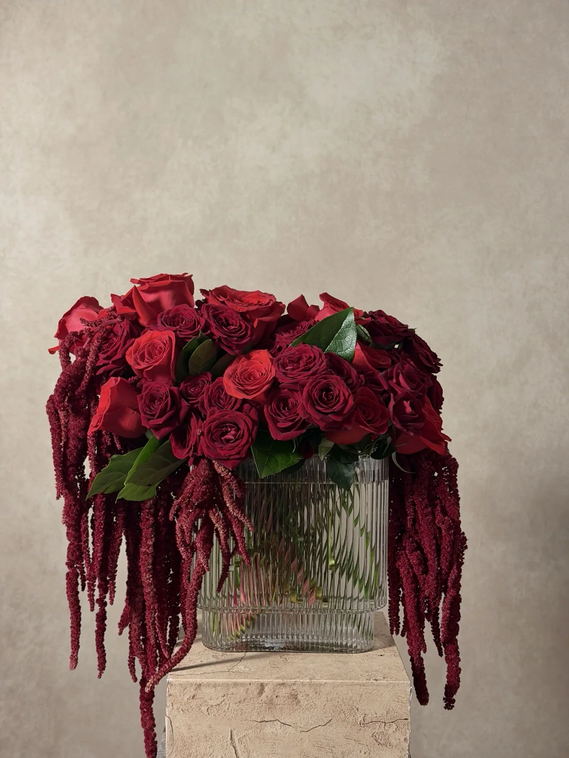 Burgundy roses with hanging amaranthus in a ribbed glass vase