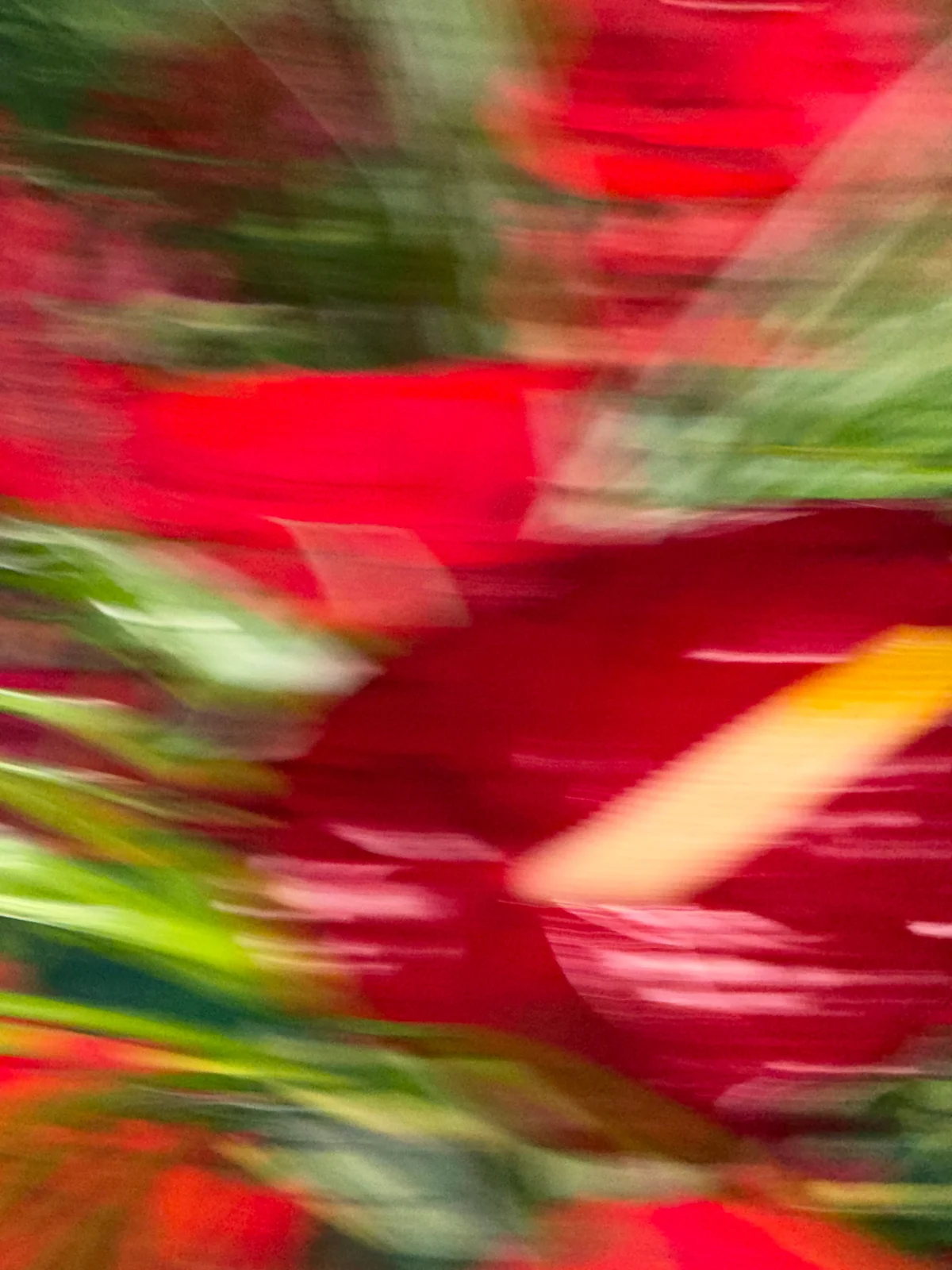 Motion-blurred detail of red flowers and green foliage